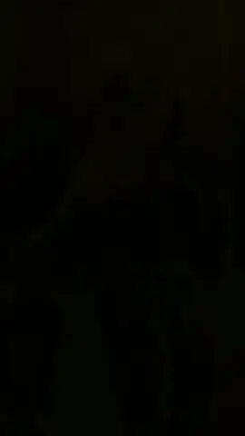 #maderomania #musica #manele #fyp #viral 