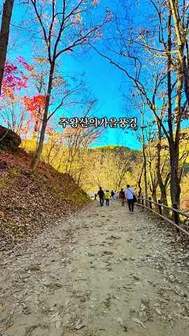 #주왕산의가을풍경 