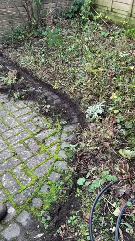 Finally gave the winter garden a tidy-up! It’s been a while, but it felt great to give it some TLC. #winter #garden #satisfyingvideos #transformation 