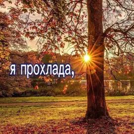 @Дора #дора #рек #залетит #fyp