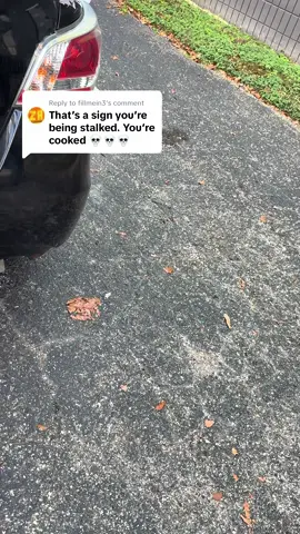 Replying to @fillmein3 