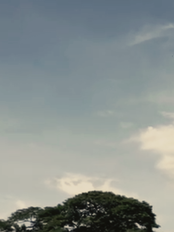 যেই আমি একটা সময় সবার সাথে মিশার চেষ্টা করতাম আজ আমি একা চলতে পছন্দ করি …🗿#viral #viralvideo #viraltiktok #foyoupage #100kviews 