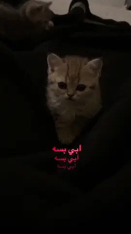 #fyppppppppppppppppppppppppppppppppppppシ #fyppppppppppppppppppppppp #fyppppppppppppppppppppppppppppppppppppシ #fyppppppppppppppppppppppp #fyppppppppppppppppppppppppppppppppppppシ @TikTokShop_TH @TikTok Tutorial 