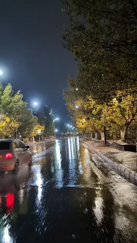 #شتاء_البرد_اجواء_شتويه #tlemcen #belleville #europe#شتاء 