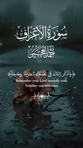 #CapCut #فذكر_بالقرآن_من_يخاف_وعيد_ #ارح_سمعك_بالقران_الكريم_أجر_لي_ولكم #راحة_نفسيه #آيات_قرآنية 