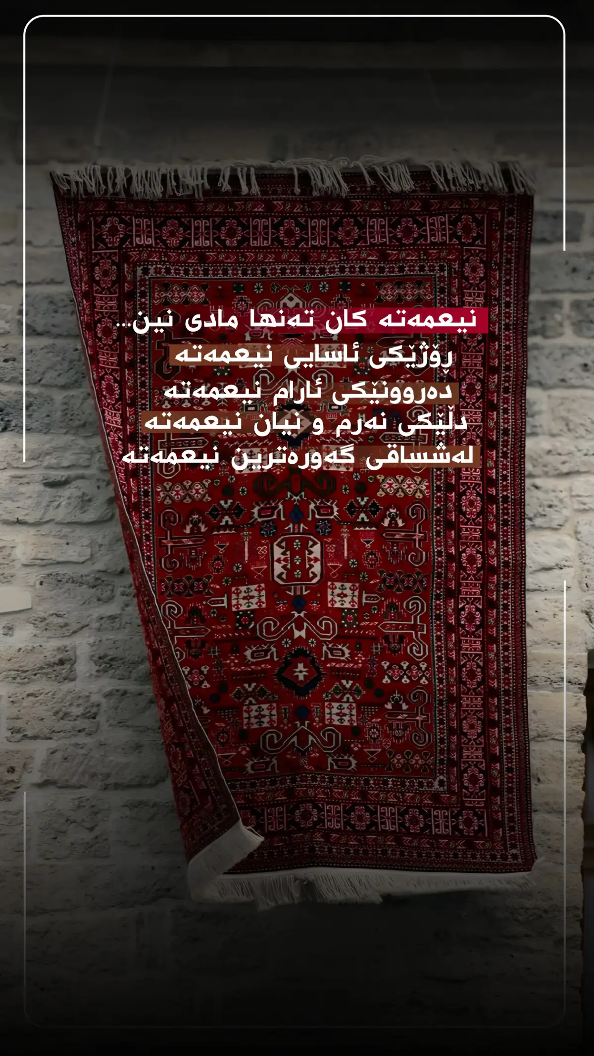 #hayday #coffewithmusiic #foryou #fyp #foryoupage 