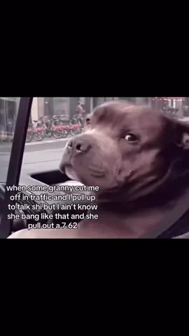 Song is Moutaz IX - dontknowya #fyp #memes #funny #funnymemes#tiktokmemes 