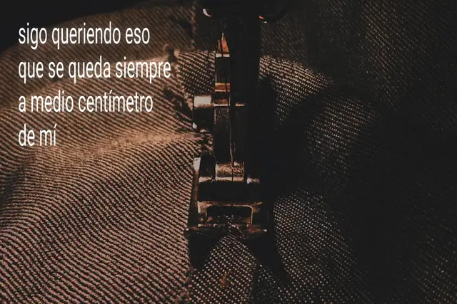 ese algo que insiste en vivir en el primer segundo antes del hallazgo #textos #frases #artevisual #videopoema #nostalgia 
