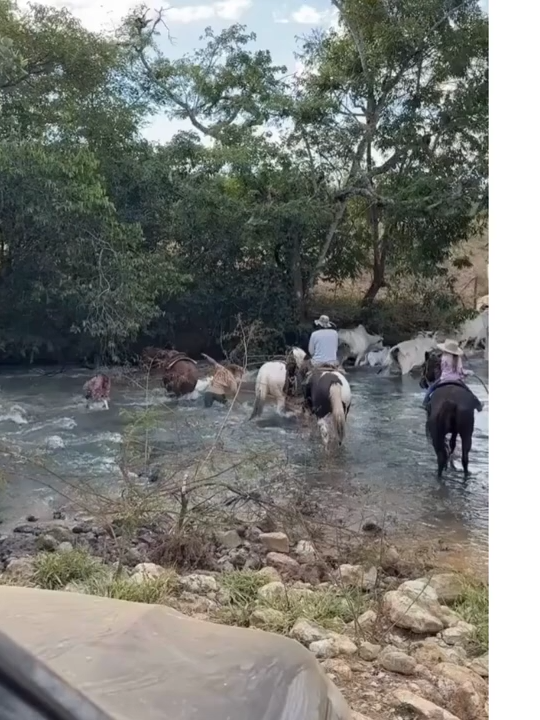 QUAL É O SEU LIMITE