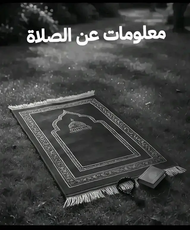 #vidéoviraletiktok🇬🇦🇬🇶🇨🇲🇧🇫🇧🇴🇨🇬🇨🇩🇳🇦🤣🤣 