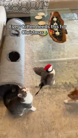 This toy is hilarious😹 #cats #cattoys #kitten #fyp 
