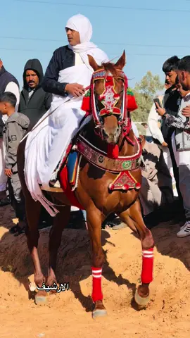 #الرايس_علي_العود❤🐴 #يربح_من_يصلي_عن_النبي🌙 #الزاويه_العنقاء_ليبيا🇱🇾 #احفاد_سعدون_السويحلي_🌸♥🌙_مصراته❤️❤️ 