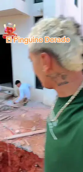 El pinguino dorado  #supremoclips #polonorte @SupreMO 🐧❄️ 