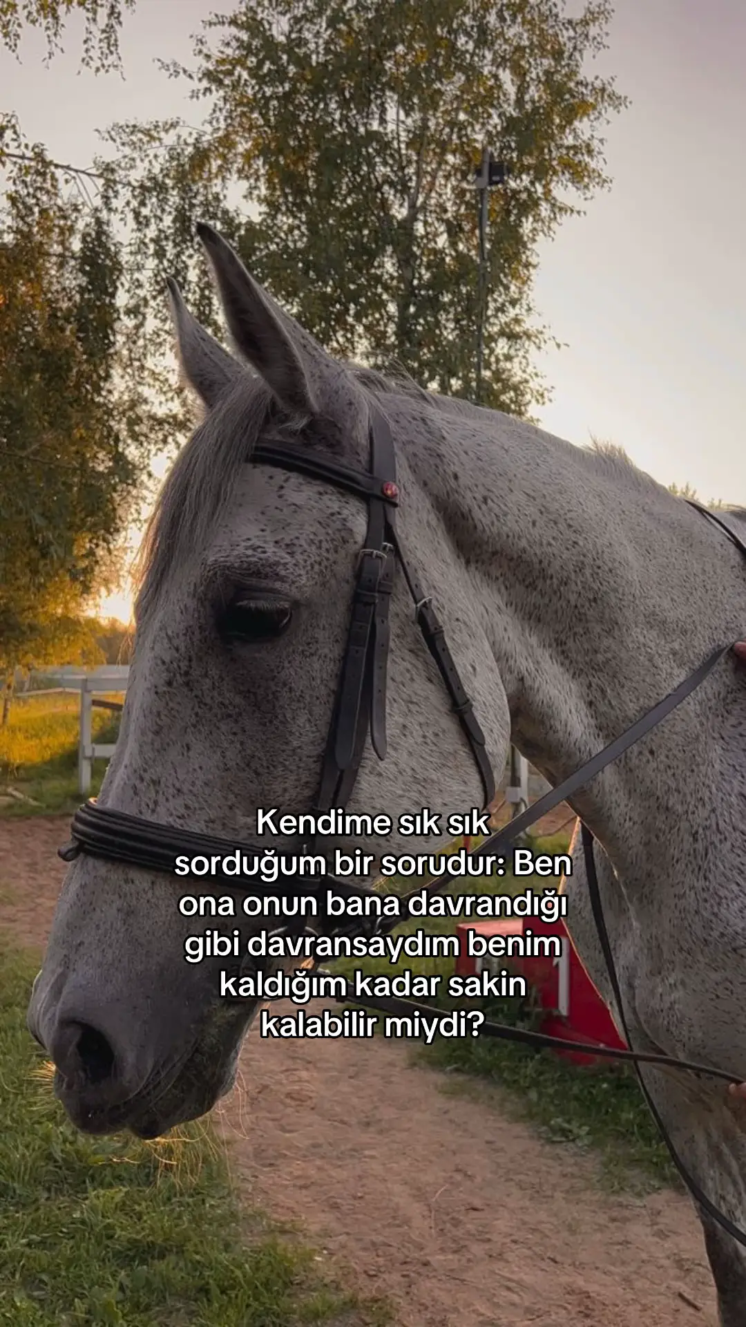 #beniöneçıkart #benionecikartiktok 