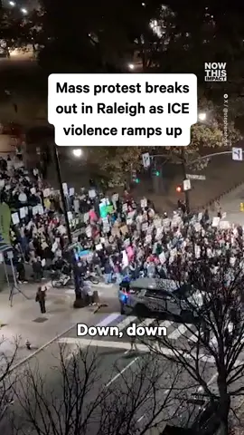 Since ICE invaded Raleigh, NC, walkouts and protests have broken out, and more than 600 volunteers have signed up to help keep residents safe in the city.