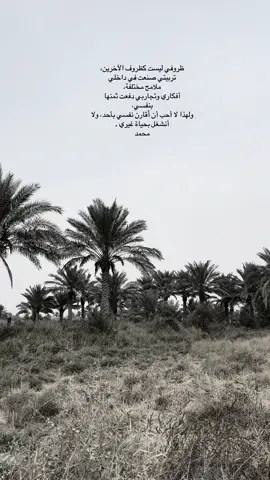 قناة التلي بالبايوا ..!؟ #شعراء_وذواقين_الشعر_الشعبي🎸 #محمد #paratiiiiiiiiiiiiiiiiiiiiiiiiiiiiiii #foryou #شعر 