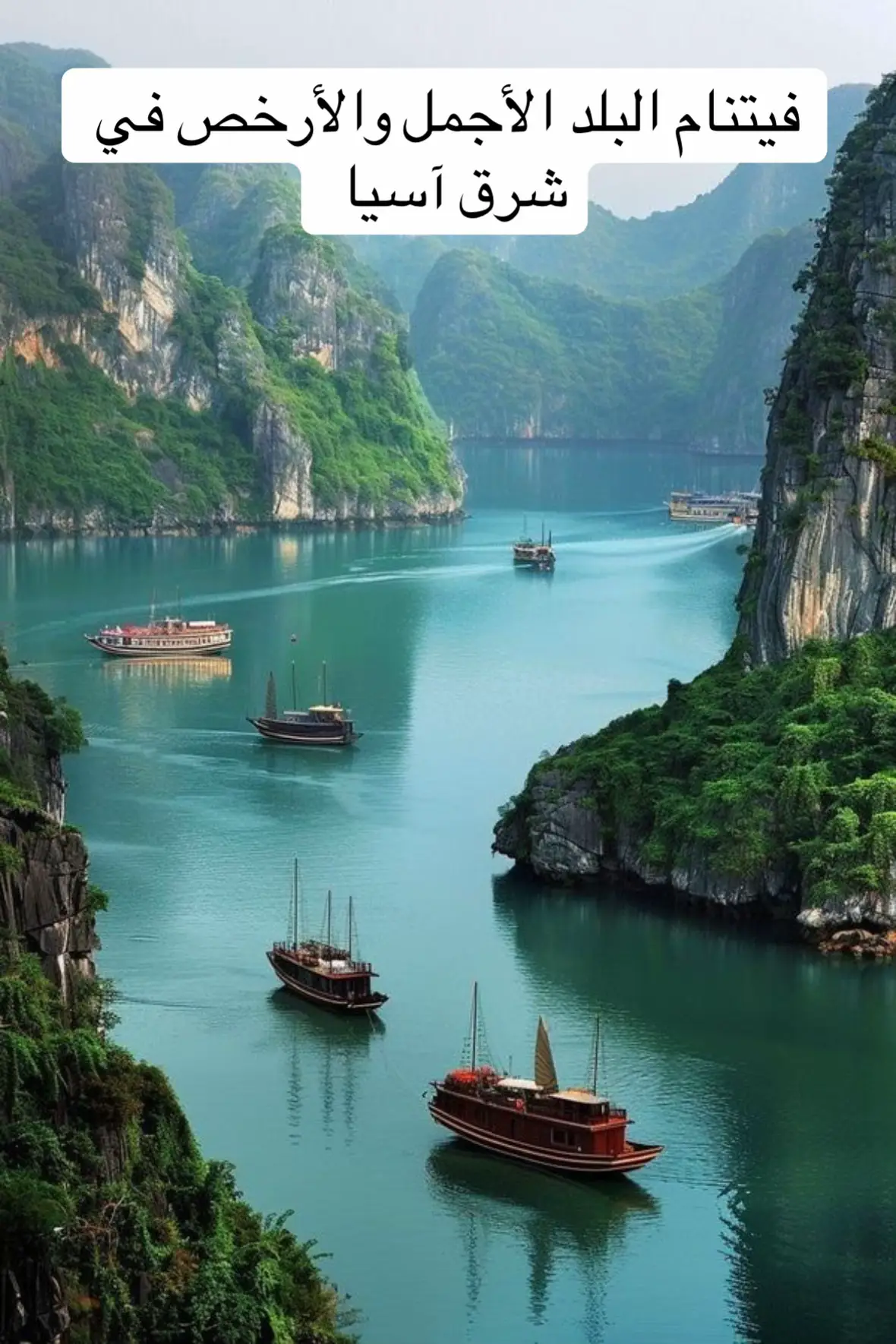 معلومات عن فيتنام 🇻🇳  #فيتنام #سفر 