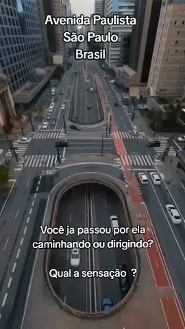 Avenida Paulista #lugaresincriveis #viagembrasil #turismobrasil #emanalu #descubrapelobrasil 