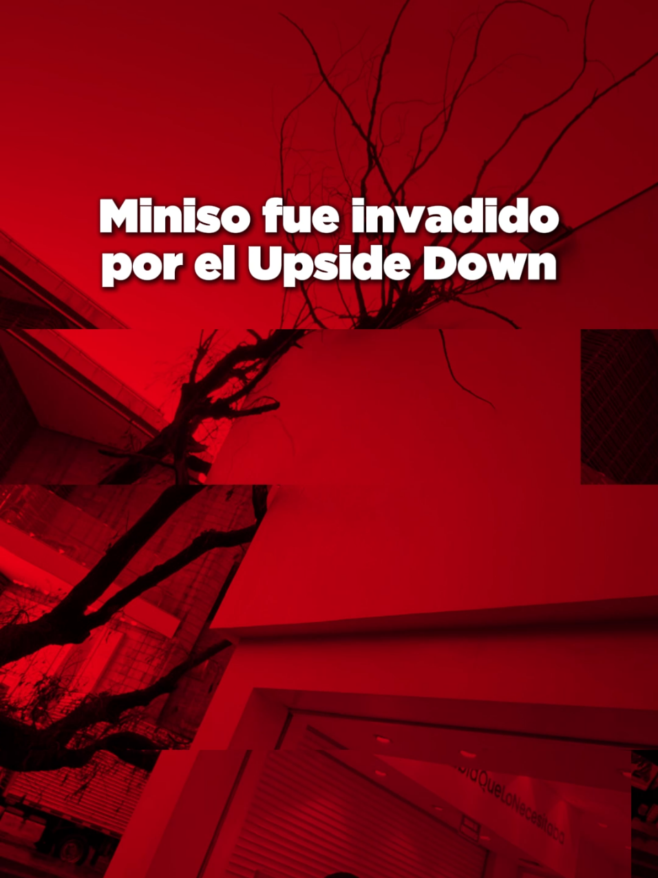 Tranquilos MinisoLovers, solo es una señal de que la nueva colección de Stranger Things llegó a tiendas seleccionadas de Miniso y www.miniso.co 😱🚲 ¡Corre que se agota!💕💫 #NoSabíaQueLoNecesitaba #UpsideDown #strangerthings #MinisoColombia #ultimahora 