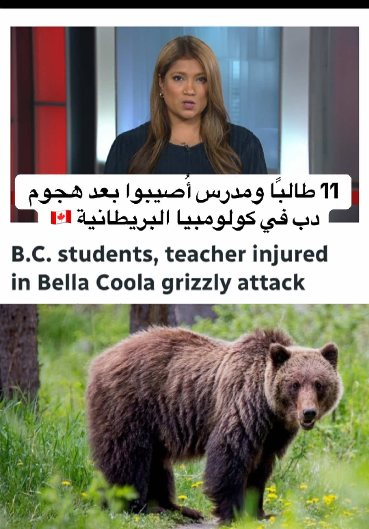 A grizzly bear attack involving students in Bella Coola on British Columbia’s Central Coast has left two people critically injured and two others seriously hurt, according to emergency officials.