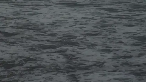 #feelinglikemyselfagain #lovecore #oceanheals #fyp #fypシ゚viral 