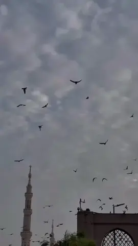 في صباح يوم السبت وأول يوم من شهر جماد الثاني #جمادى_الآخرة #السبت #صباح_الخير #تريند #trending 