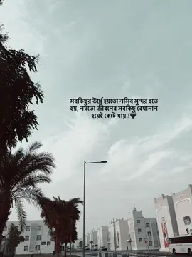 সবকিছুর ঊর্ধ্বে হয়তো নসিব সুন্দর হতে হয়, নয়তো জীবনের সবকিছু বেমানান হয়েই কেটে যায়.!🖤#foryou #unfreezemyacount #qatar🇶🇦 #tiktokbangladesh🇧🇩 #fypシ゚ 