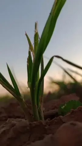 جزء/44#تقرير_سمير_دويدي😍 #العيد_بن_حمده #lan🧿🧿 #الملكي_lan🧿 #هلا_مدريد_دائما_وابدا👑❤ 