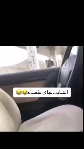 #في هذا اليوم #شايب #رياكشنات_مضحكه #😂😂😂 