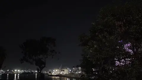 عاتبين على الايام والدمع مالي العين 🥀 #WelcomeWassouf #viral #تصويري #foryou 