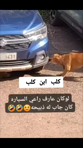 #fypシ゚viral🖤tiktok☆♡🦋myvideo #اكسبلورexplore #لايك__explore___ 