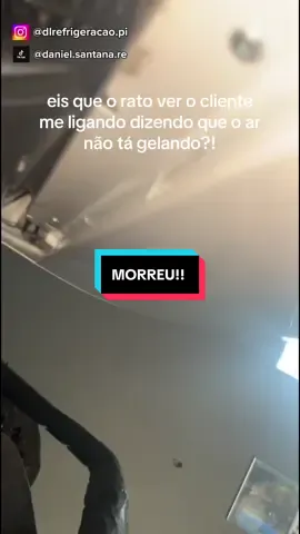 Morreu! Ar condicionado piso teto Elgin 60000 BTUs com alto ruído de trabalho... Rato morto dentro da unidade interna. #rato #arcondicionado #piso #viral #fyppppppppppppppppppppppp 