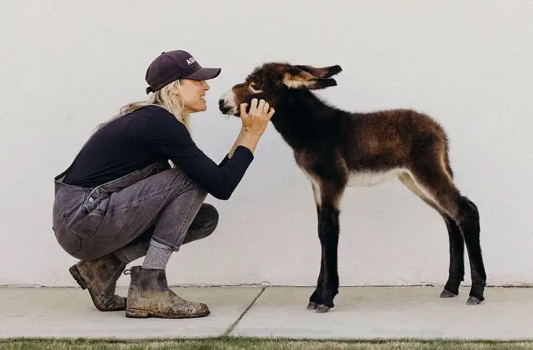 I am not someone who ever wants to be in the spotlight, EVER. Ask me to be in a photo and I’m probably going to look down at the ground or off to the side or just try to get out of it altogether. If I don’t have a hat on- good luck. Funny enough though when it comes to the horses - I’ll get in front of the camera all day long and say what needs to be said. It’s not about me at that point - it’s about them. This group of photos Sarah took and put together are moments I cherish; Buffy, Frederick and Puppy. Symbols of the WHY I do what I do. All three have three totally different experiences with this industry. Buffy: Buffy’s mom was sent through the auction. When she was born her mom rejected her leaving me to become her mom. She is now part of my heart and family. Frederick: are there even words for him? He was my soulmate and I have tears in my eyes even writing his name. He worked for the Amish until he was too crippled due to neglect, to work anymore. Then traded around for money for his size. All to his detriment. He will forever be my heart. Puppy: Puppy was the first horse my sister ever rescued. She saw him in the Direct Ship field and it was an immediate ‘he’s coming with us’. To have my family be such a supportive part of what my heart is screaming at me to do means more to me then I can even put into words. This image of our eyes speaks SO MUCH to me. It’s so powerful for so many reasons. Thank you Sarah for capturing all three of these, along with ALL the beautiful photos and moments. I’ll never be able to thank you enough. Every single print and blank note cards that are sold through