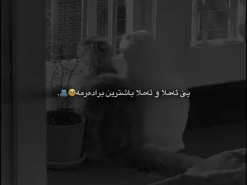 تاگی بکە🥰🫂#foryoupage #foruyou #kar4_editor #fyp #edit 