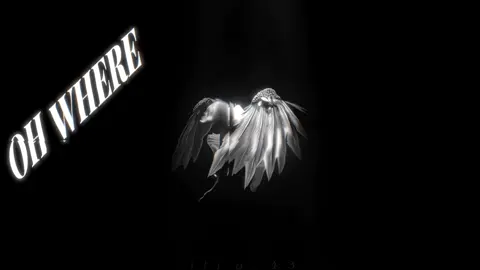 فكره عجبتي وسويتها لا اكثر ☺️ ، يارب يارب ياااربببب التيك ما يخرب الجوده 😔  . . . . . . . . #straykids #felix #explore #unfair #music @Stray Kids @Hyunjin @_doolsetnet 