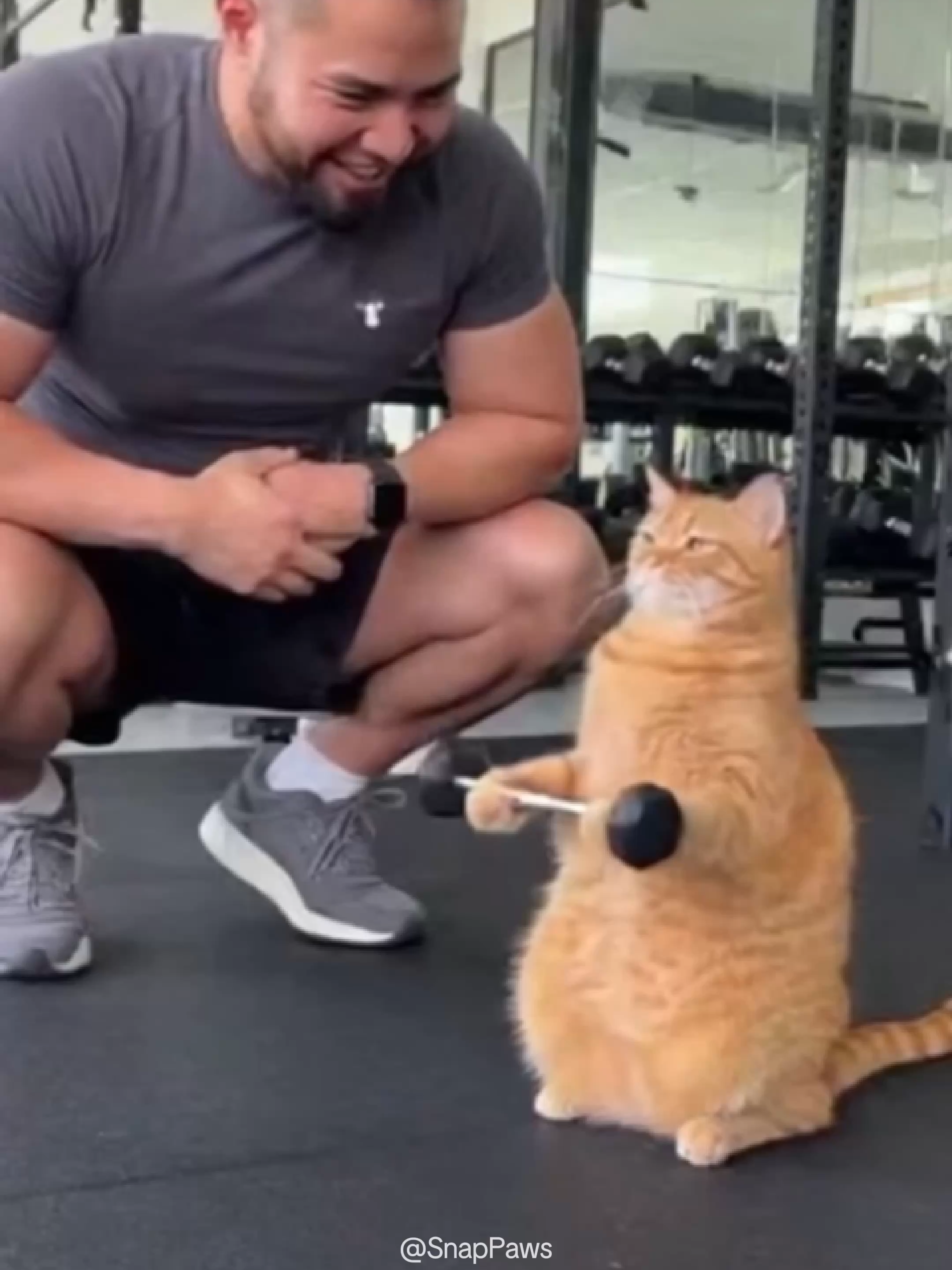 Kitty’s Gym Diary: Bicep Day
