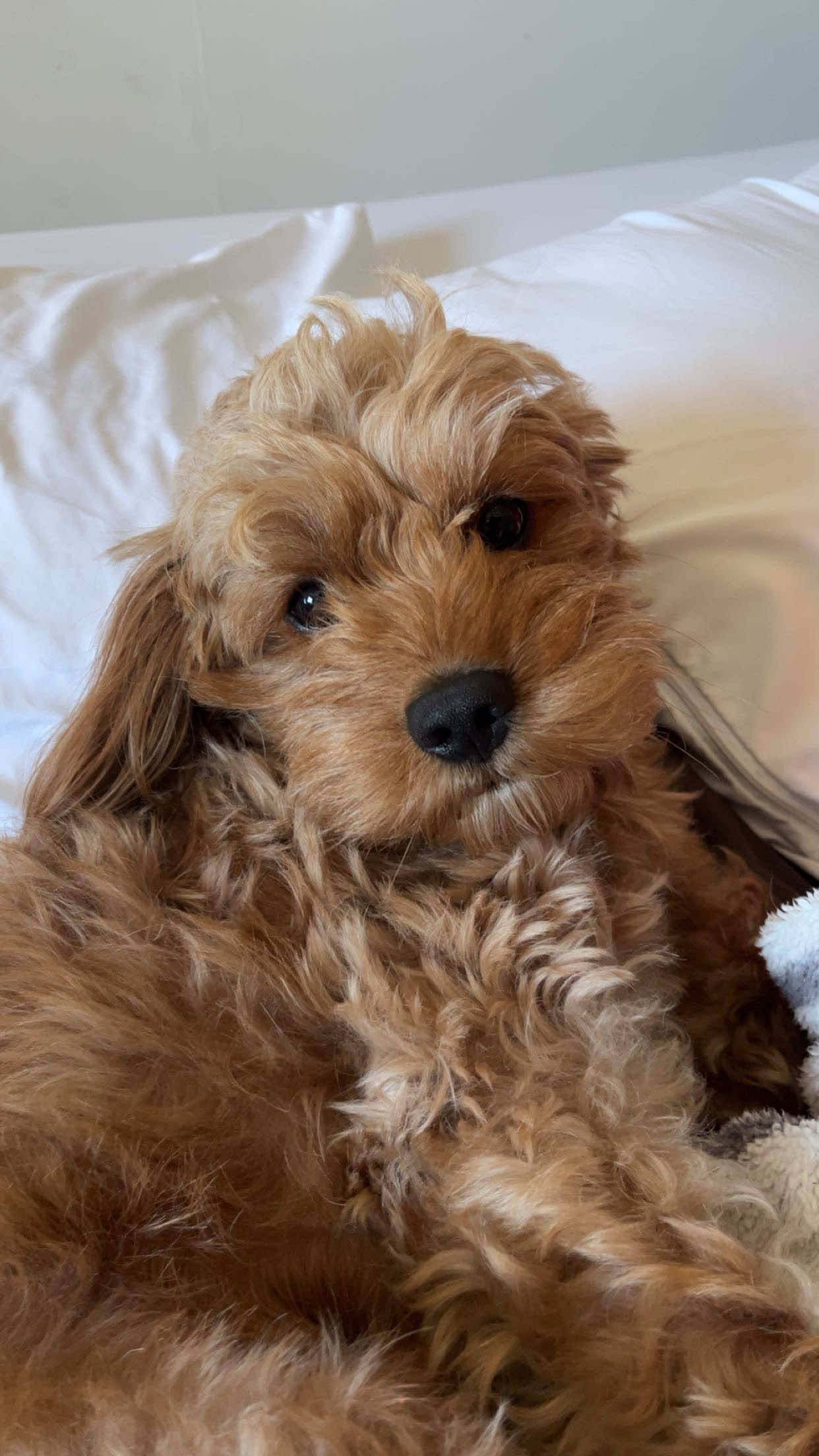 i always need a distraction but i don’t want it to be that way i just don’t wanna feel like this anymore #fyp #blowthisupforme 