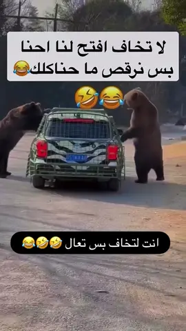 انهرت من الضحك 😂 #الشعب_الصيني_ماله_حل😂 #اكسبلورfyp 