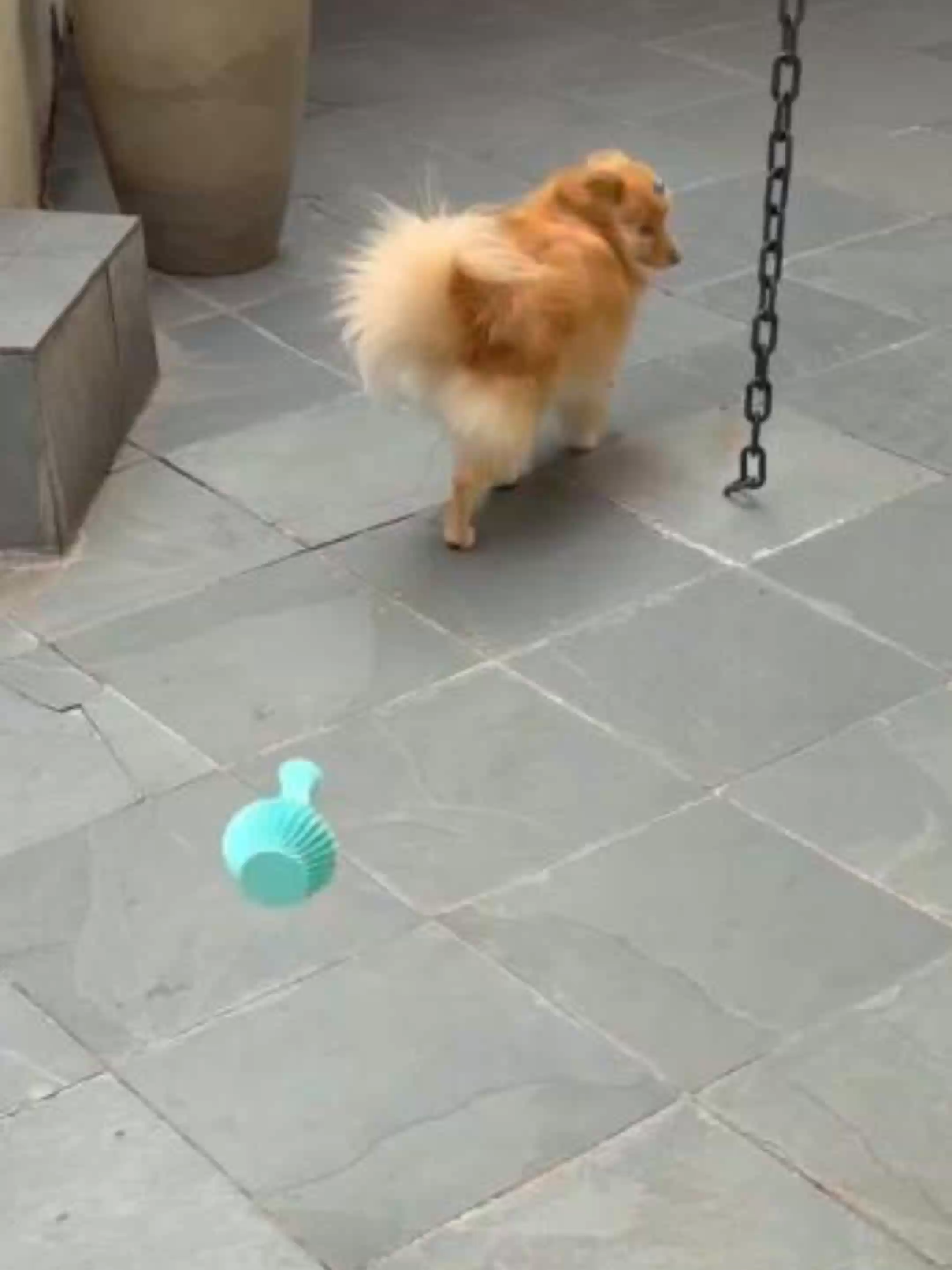 Eu testei o PETG-GF da Tinmorry e o resultado foi impressionante! PETG-GF é aquele infundido com fibras de vidro, o que concede maior resistência e um aspecto único quando comparado ao PETG normal. Obrigado FusionX por enviar os filamentos para testes! Agora, o que eu devo imprimir para testar os outros dois filamentos? Deixa sua sugestão aqui nos comentários!