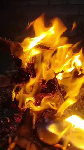 #شعر #اقتباسات_عبارات_خواطر #شعراء_وذواقين_الشعر_الشعبي #اكسبلور #شعب_الصيني_ماله_حل😂😂 