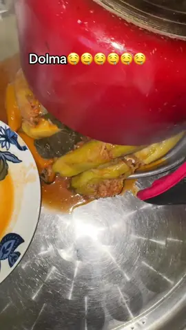 Dolma for lunch 🤤🤤🤤🤤🤤🤤🤤🤤🤤 #fypシ #viral #foryourpage #dolma 