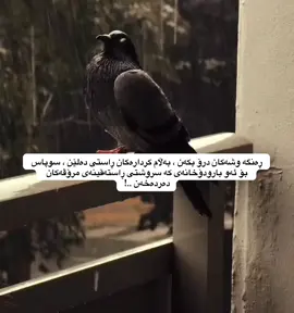 #d_shex #foryoupage #explore 