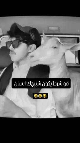 #تفاعلكم_لايك_متابعه_اكسبلوررررراexplore #🤳🤳🤳🤳🤳🤳🤳🤳 #الشعب_الصيني_ماله_حل😂😂 #وسع_صدرك😂 #😁😁😁😁😁😁😁😁😁😁😁😁 