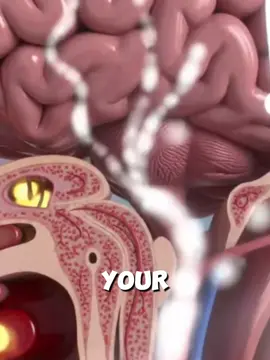 Stop Ear Ringing Fast — Click Link In Bio To Try A Simple Relief Trick Now! 🔗👂 #ForYou #FYP #Viral #Trending #TikTokViral #TikTokHealth #Tinnitus #EarRinging #EarBuzzing #TinnitusRelief #SoundTherapy #HearingHealth #TinnitusAwareness #HealthTips #Wellness