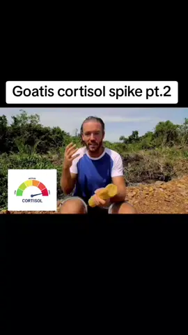 figured I should make a part 2 since the first one did so well. Goatis cortisol spike #goatis #viral #targetaudience #fyp #bp 