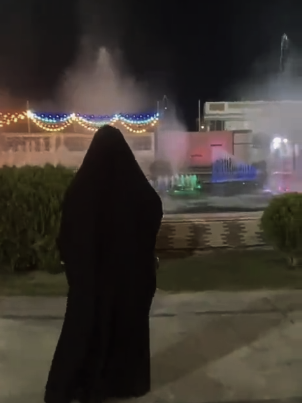 #CapCut #tiktok #fyp #كربلائية👑 