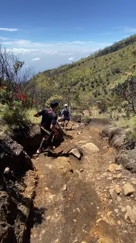 Lawu kalo cerah asikk🔥#trailrunning #pelarikonten #lewatberanda #fyppppppppppppppppppppppp #fy 