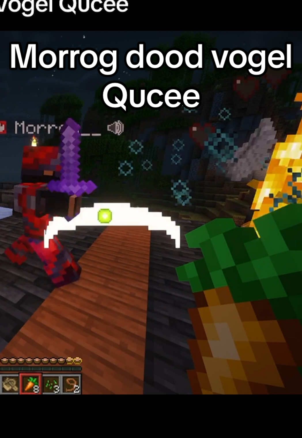 De nieuwe vogel van Qucee is nu al uitgeschakeld! 😭😭 @Qucee @Morrog #Minecraft #creatorsmp #SMP #smpnl #twitch 