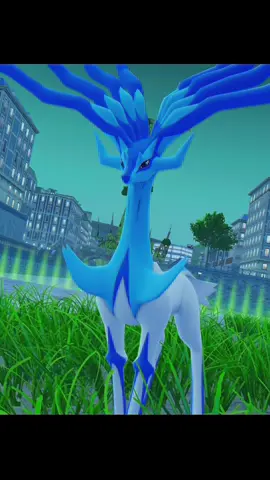 POKEMON LEGENDS Z-A EP.20 OUT NOW!!! FULL VIDEO ON YOUTUBE, LINK IN BIO!!! #pokemon #pokemonlegendsza #shinypokemon #fyp #fypシ 