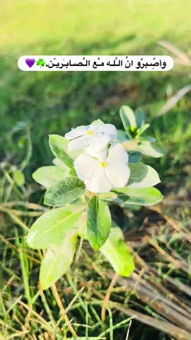 اصبر😔🫶 #تصويري #تصويري_احترافي_الاجواء👌🏻🕊😴 #اكسبلورpov #مشاهدات 